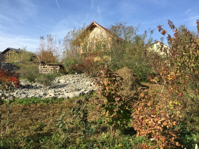 Wildbienengarten